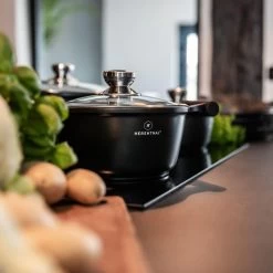 Herenthal Inductie Pannenset - Luxe 10-delige Koekenpanset - Voor Alle Warmtebronnen - Met Glazen Deksels En Koudgrepen - Zwart -Kookpannen Verkoopwinkel 1200x1200 78