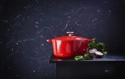 BK Bourgogne Braadpan Ø 20 Cm - Rood - Gietijzer - Inductie -Kookpannen Verkoopwinkel 1200x756 1