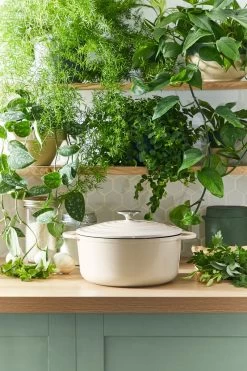 Tefal LOV Braadpan - 5L - Ø25 Cm - Beige -Kookpannen Verkoopwinkel 800x1200 14